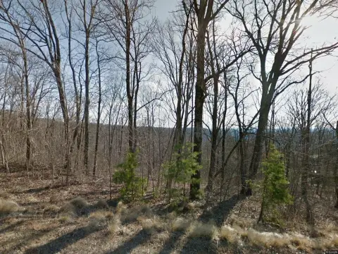 Land for Sale in Landrum