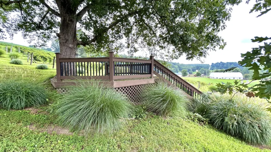 Picture 19