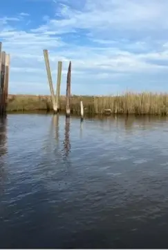 Vacant Land in Grand Bayou