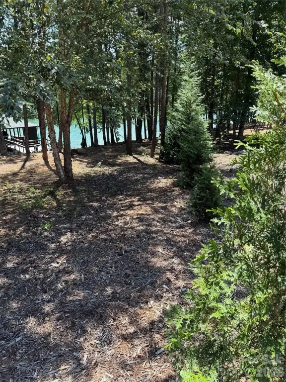 Picture 21