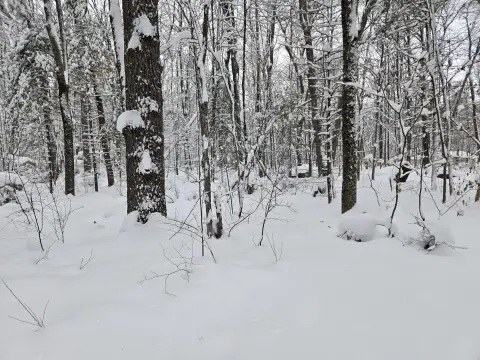 Land Near Whalen Lake, Baldwin