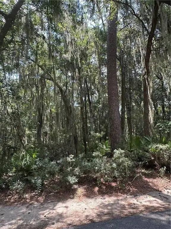 Picture 3