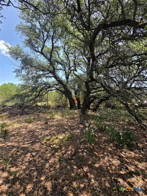 Picture 31