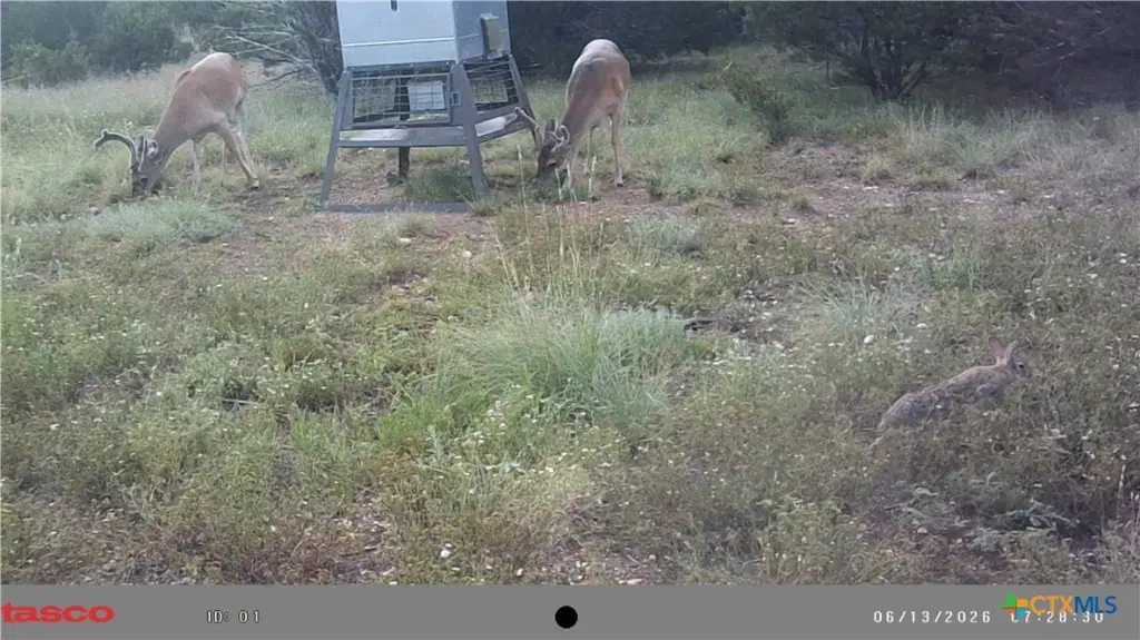 Picture 23