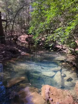 Graysville, TN Land for Sale