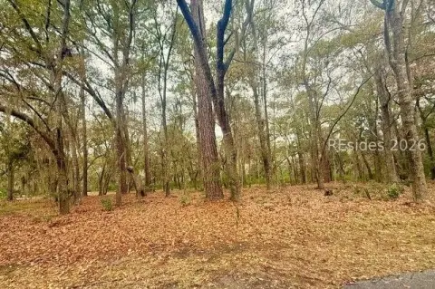 Daufuskie Island Land Parcel