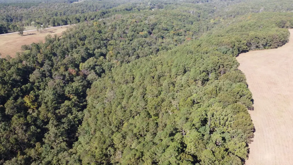 Picture 38