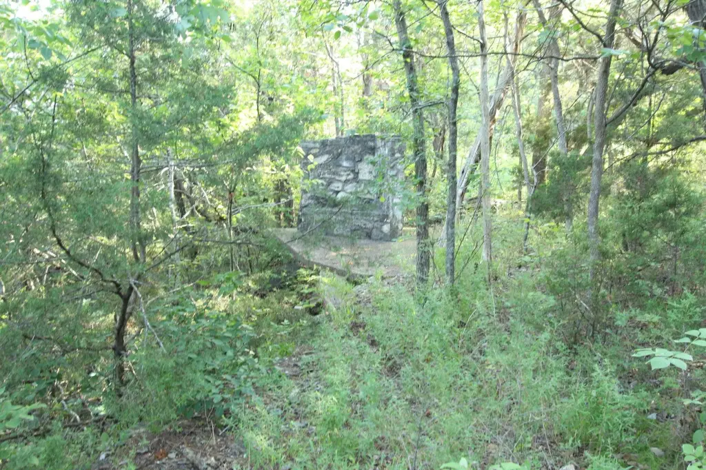Picture 7