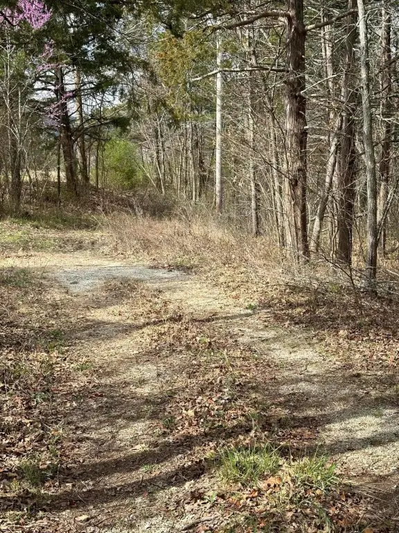 Picture 9