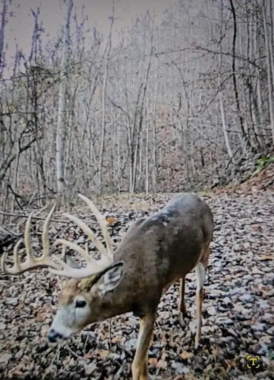 Picture 41