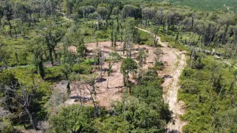 Georgetown Hunting Land For Sale