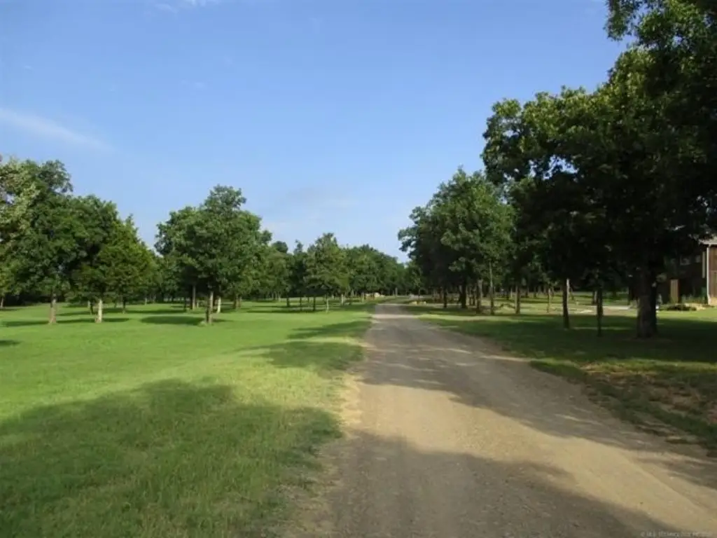 Picture 19