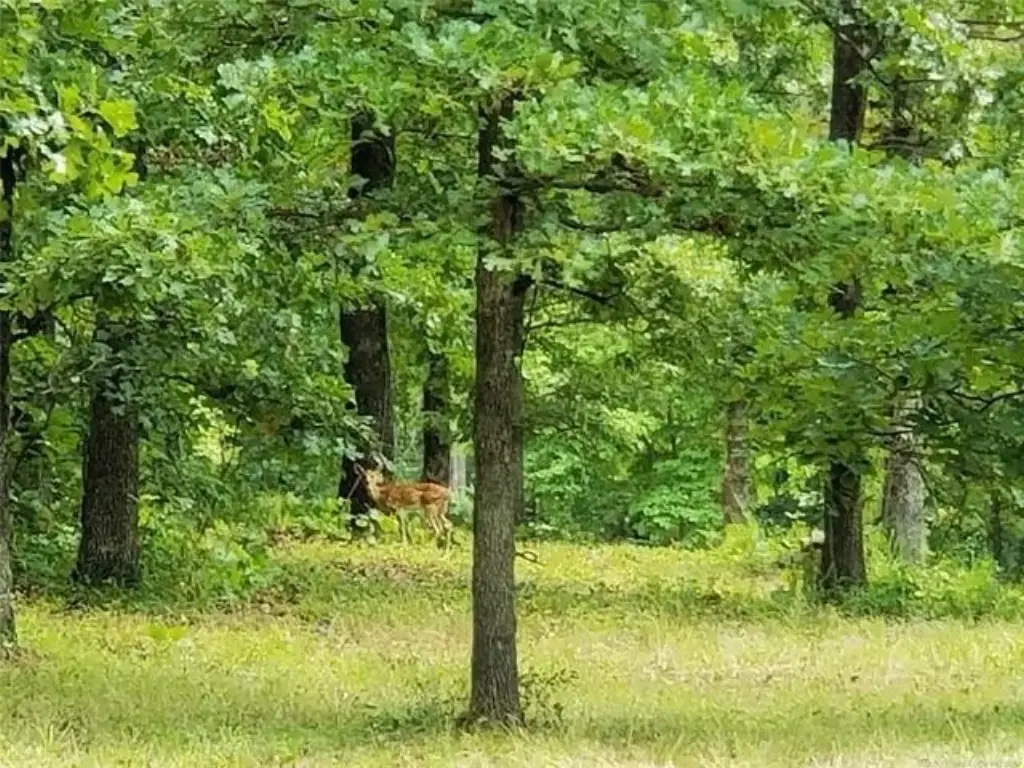 Picture 22