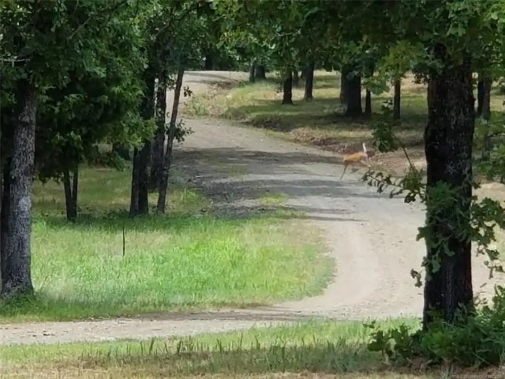 Picture 21