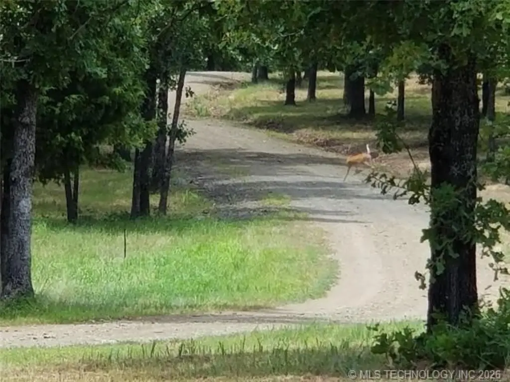 Picture 21