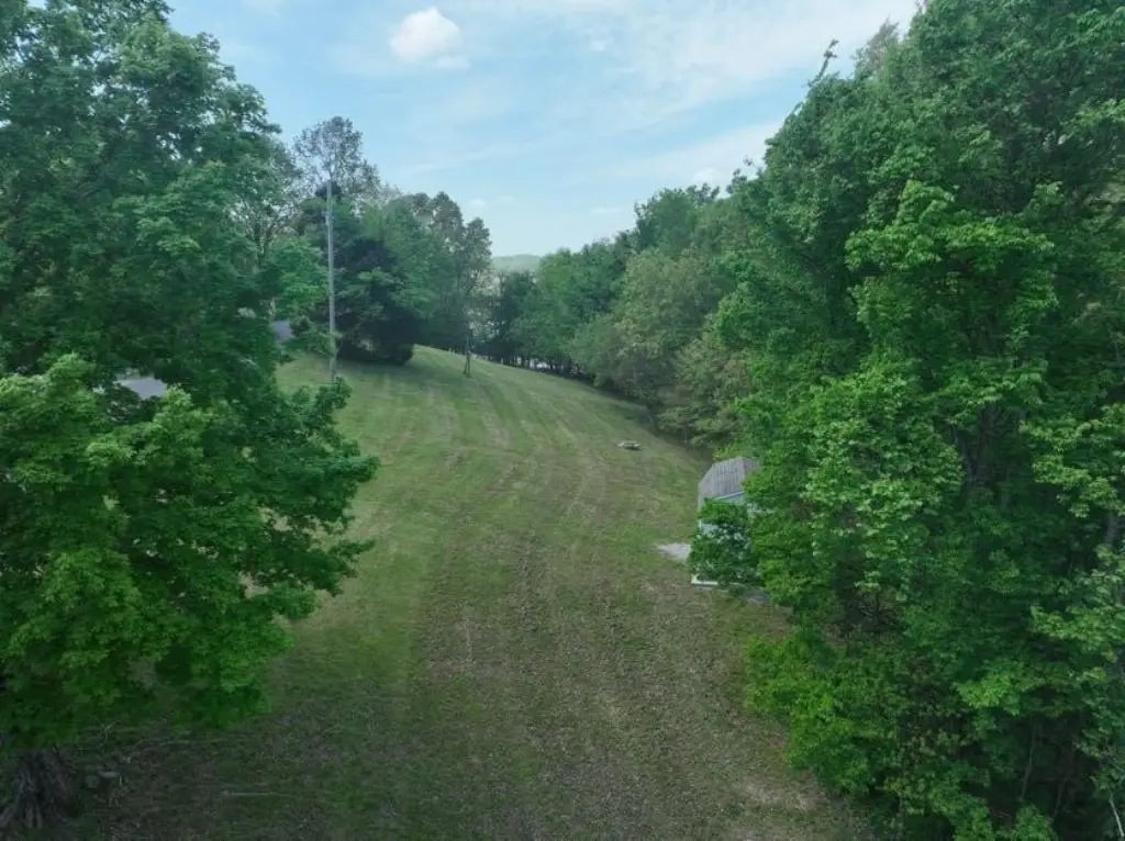 Picture 4