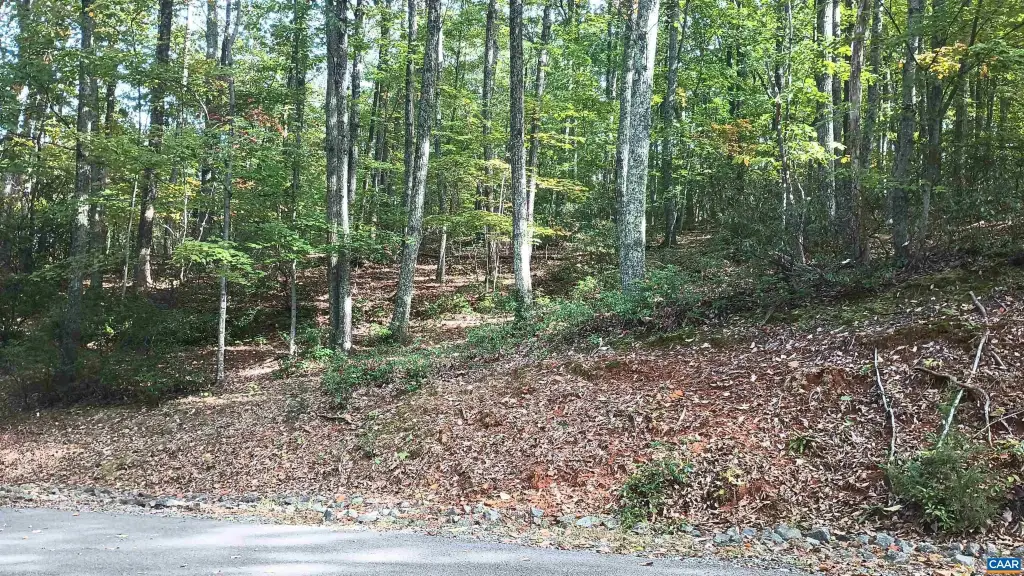 Picture 19