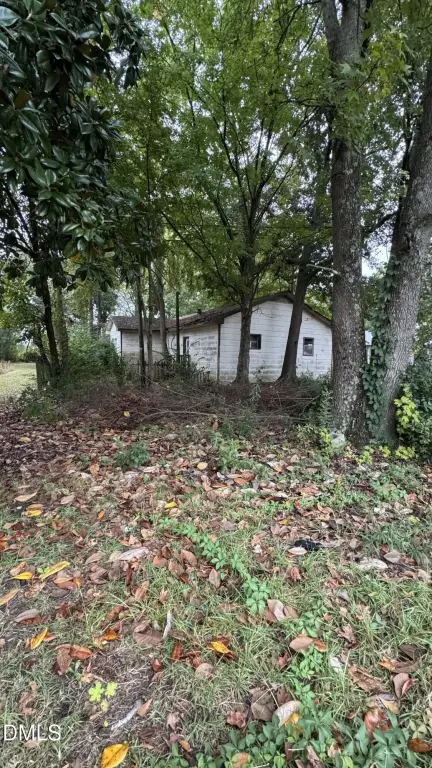 Picture 3