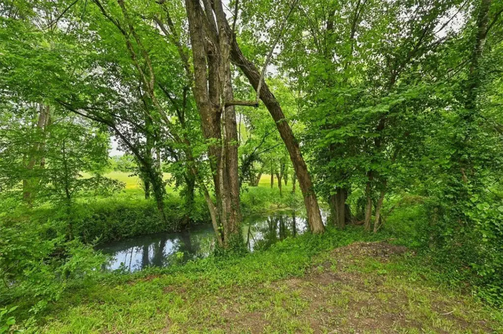 Picture 48