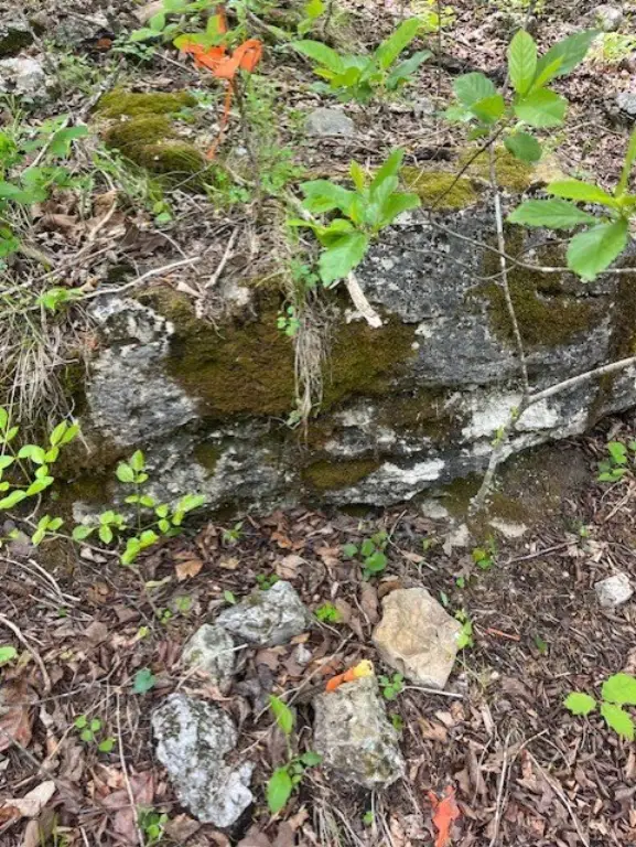 Picture 19