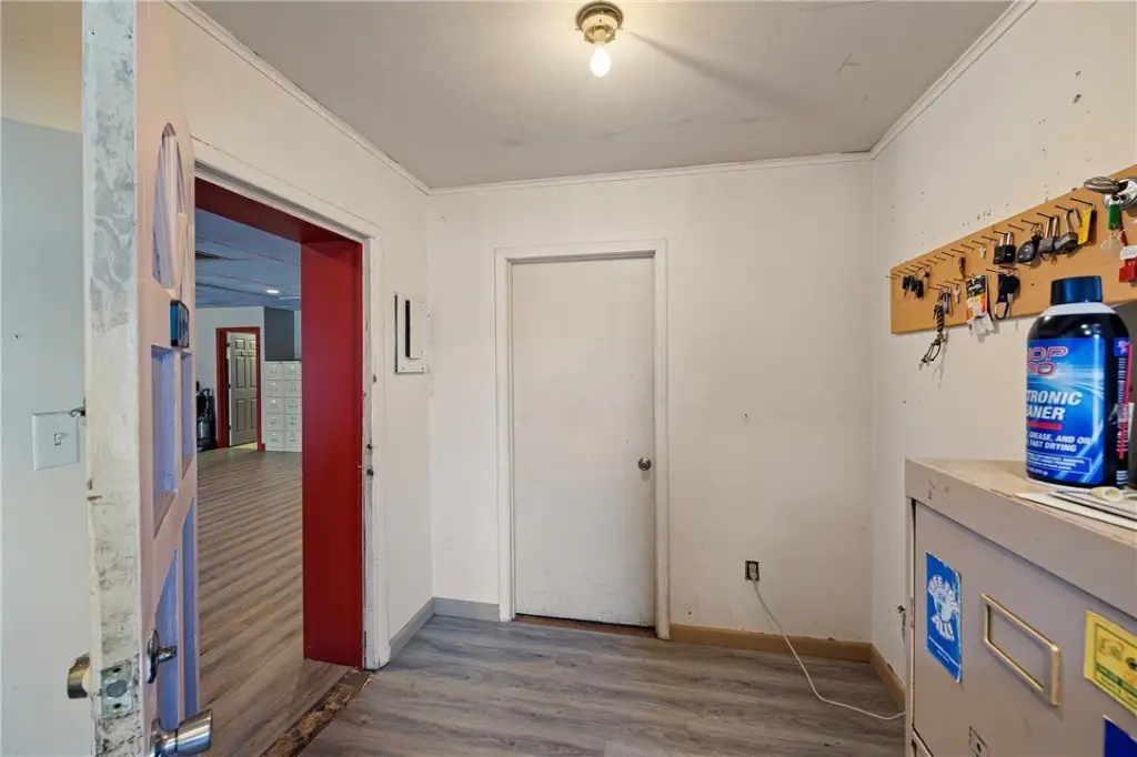 Picture 6