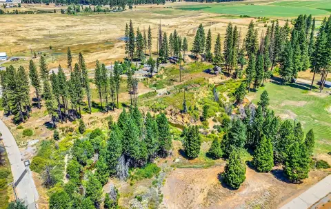 Greenville Recreational Land with Income