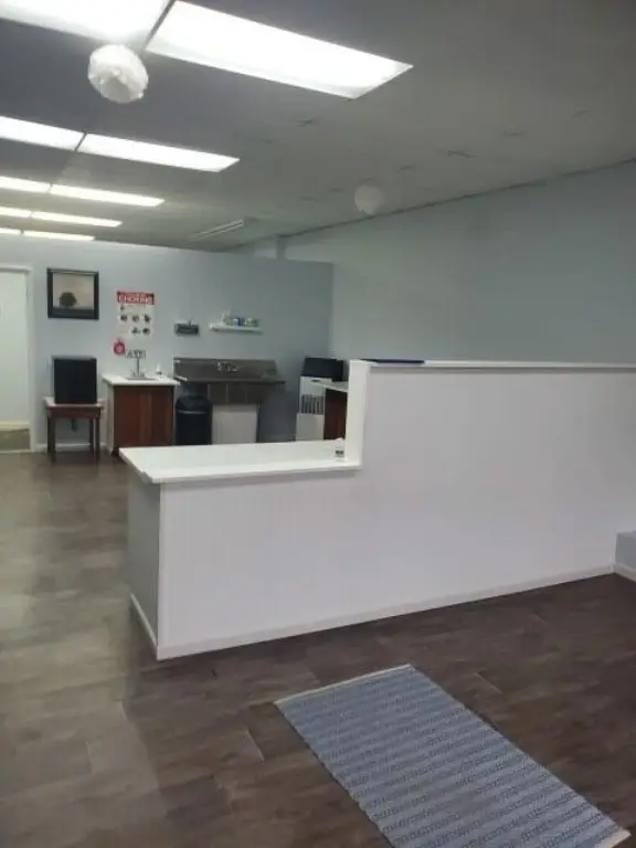 Picture 5