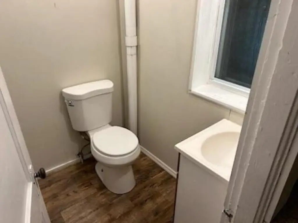 Picture 15