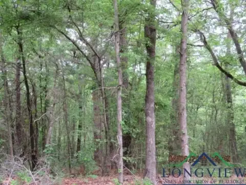 Henderson Land For Sale