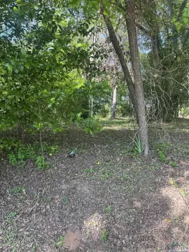 Marshall, TX Land Opportunity