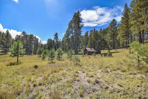 Jemez Springs Mountain Land Parcel