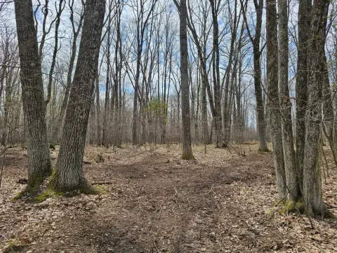 Wooded Land Near Beecher Lake
