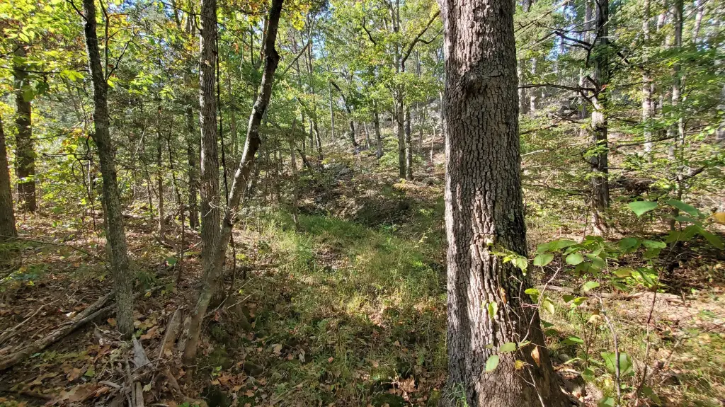 Picture 18