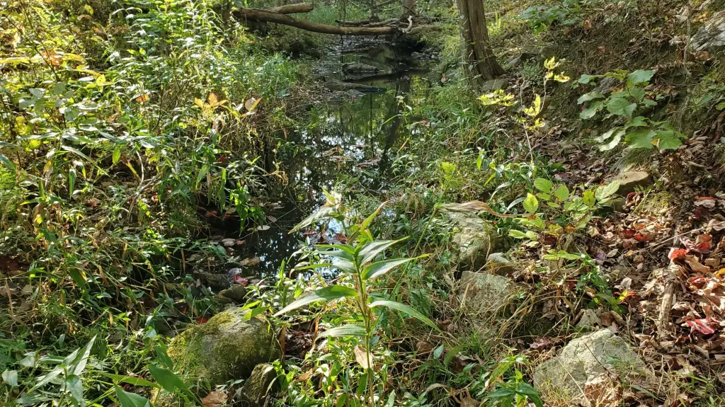 Picture 25