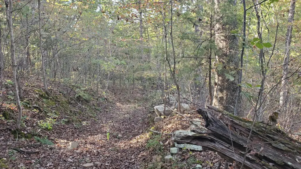 Picture 16