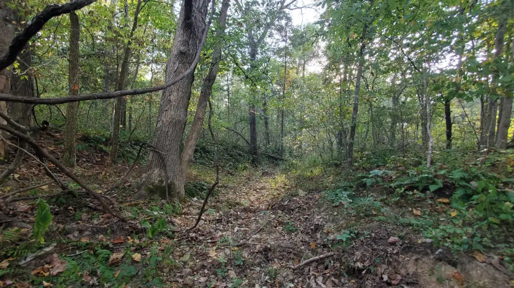 Picture 41
