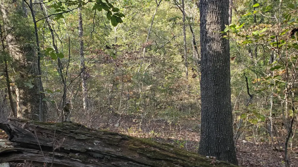 Picture 17