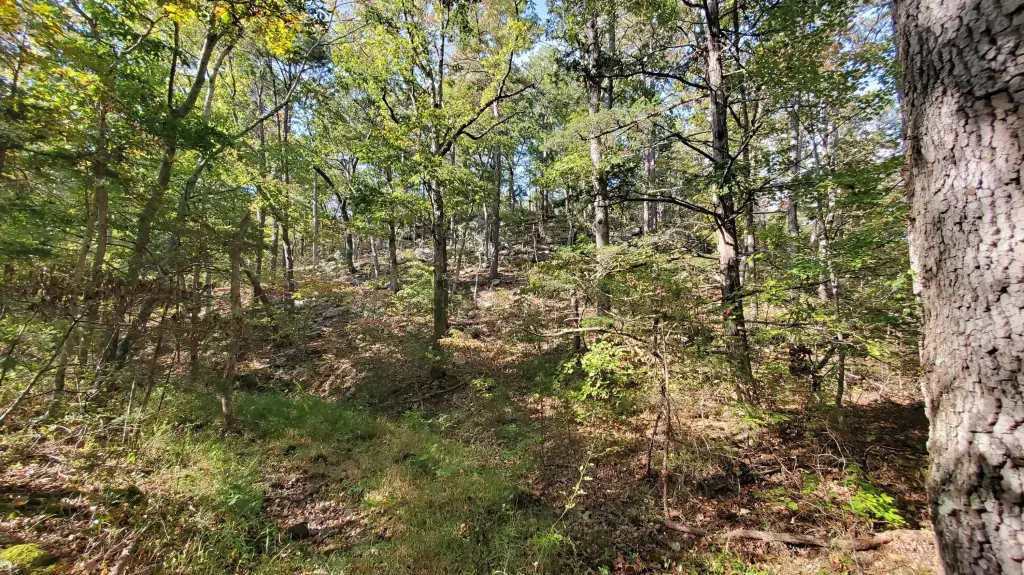 Picture 19
