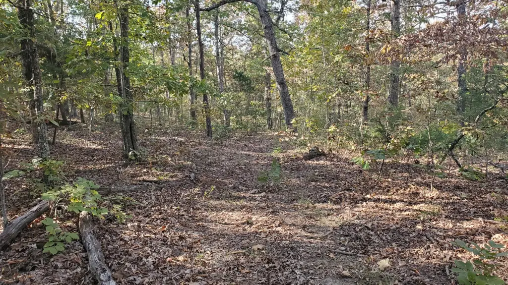 Picture 14