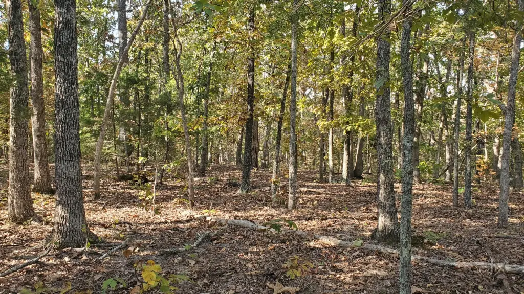 Picture 12