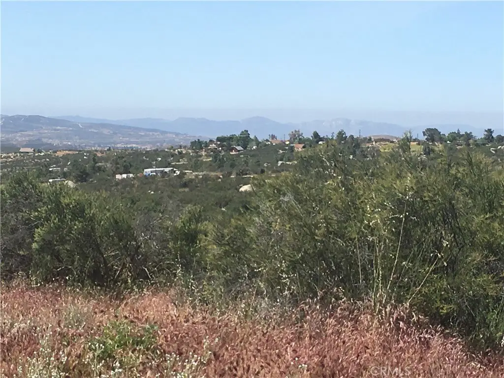 Picture 24