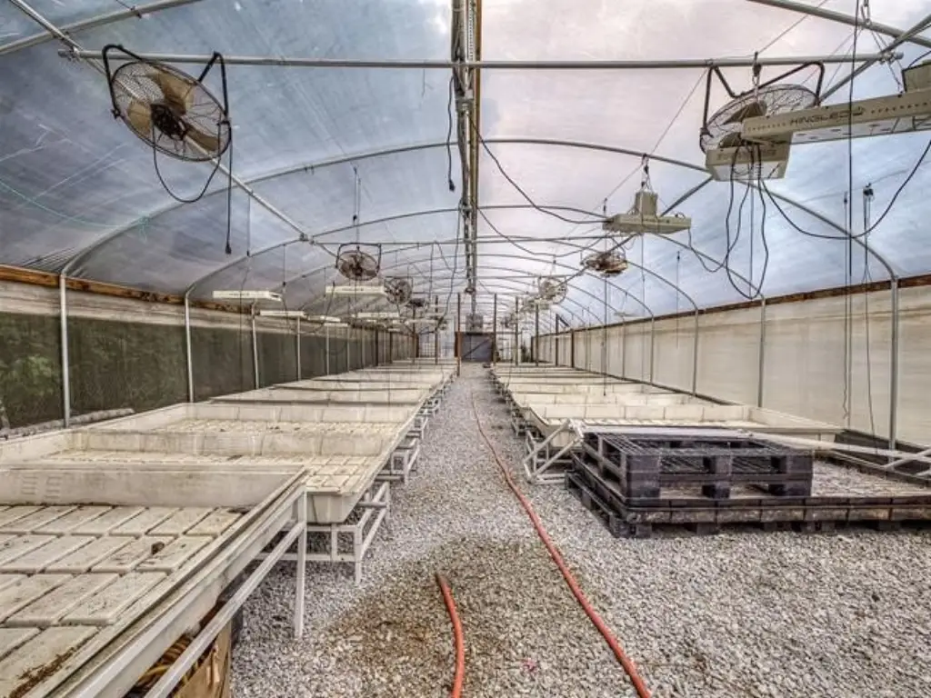 Picture 49