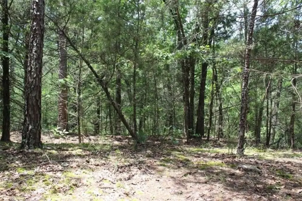Picture 3