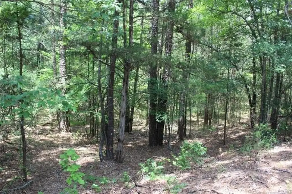 Picture 2