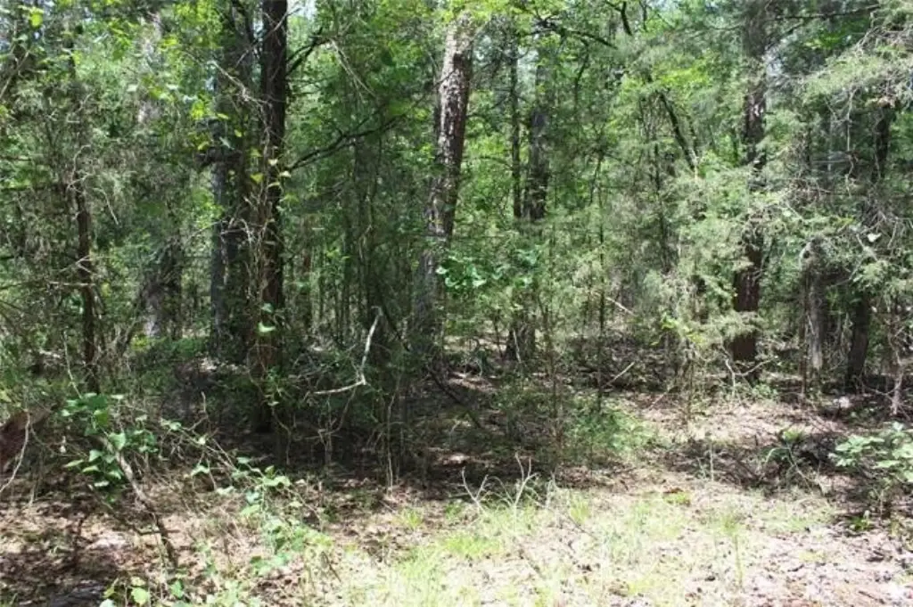 Picture 4