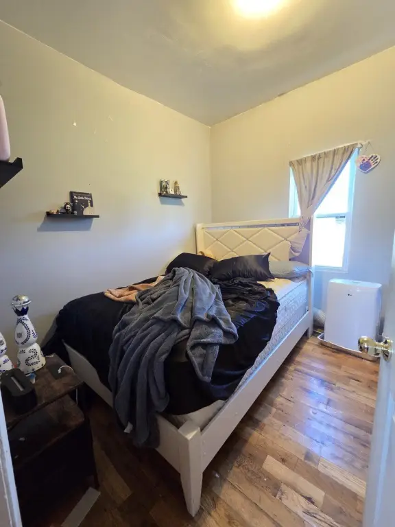 Picture 12