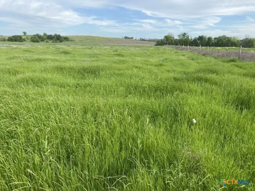 Picture 21
