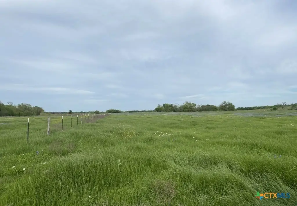 Picture 15