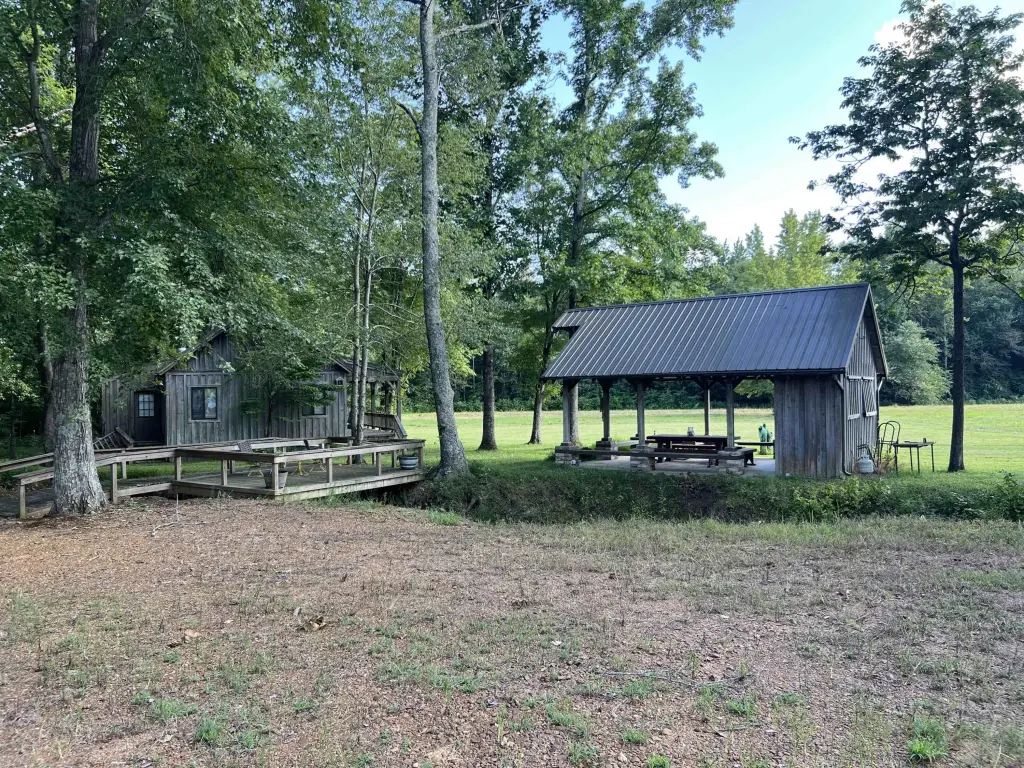 Picture 15