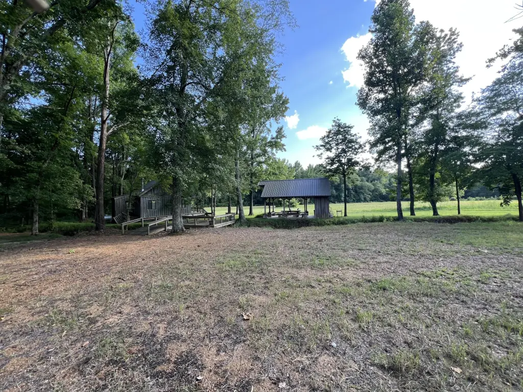 Picture 29